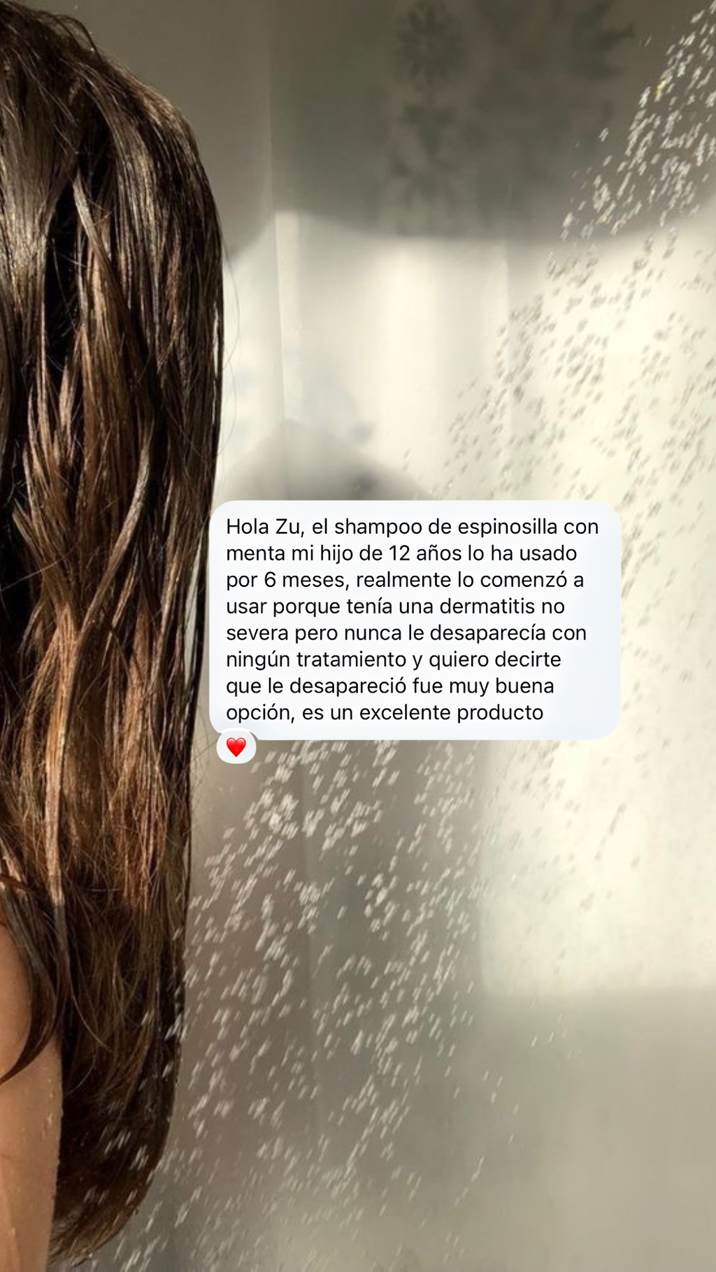 Shampoo Menta & Espinosilla